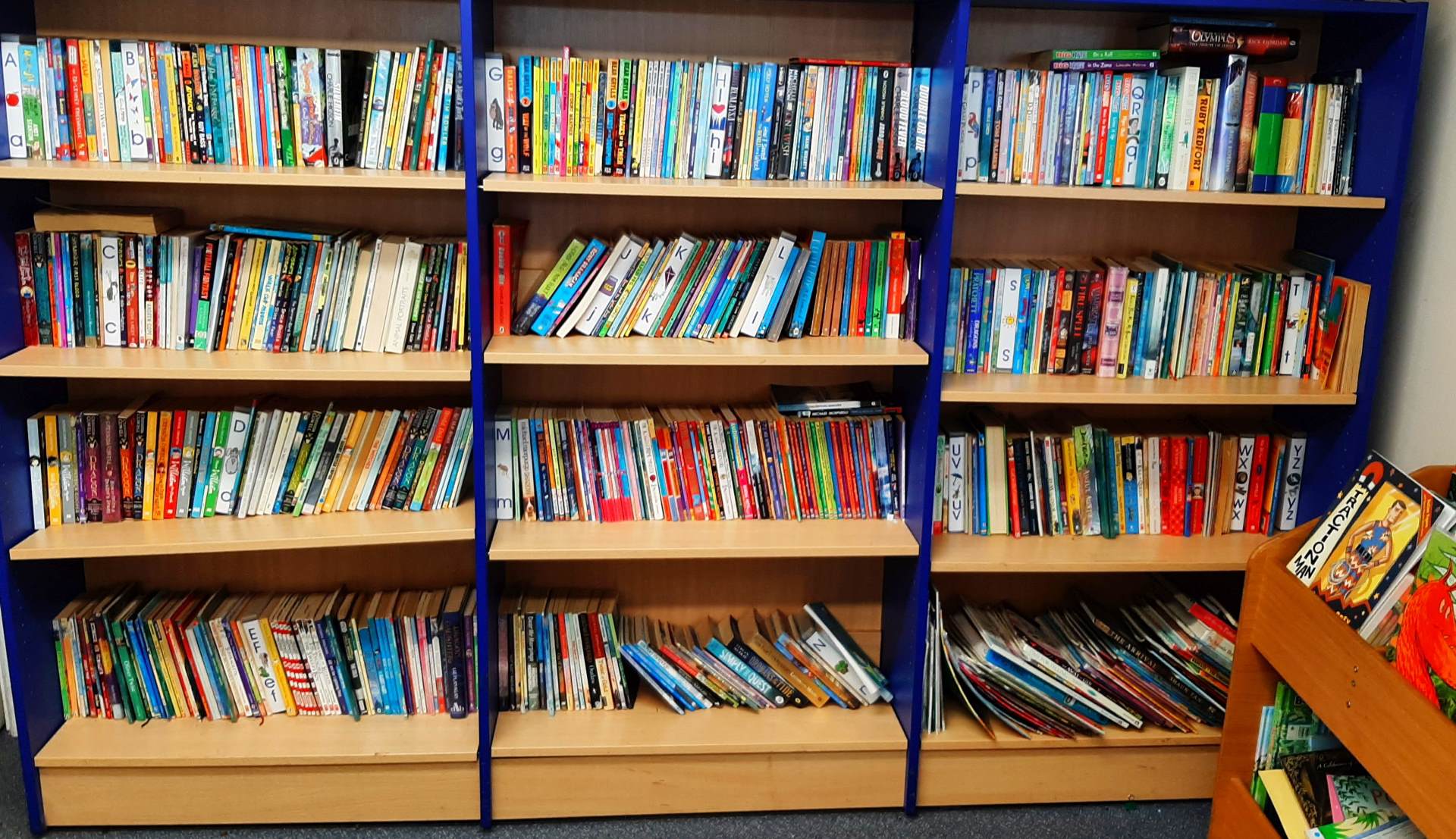 Library at Brampford Speke Primary