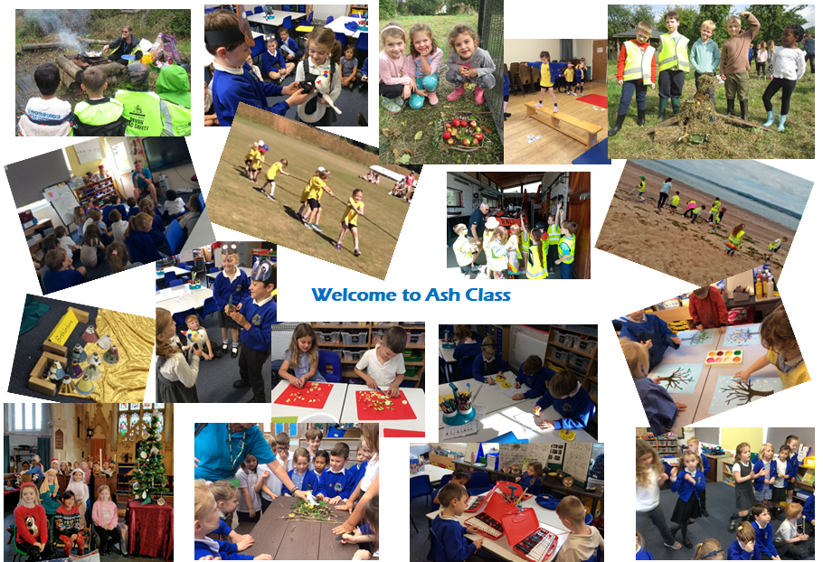 Ash Class 26 Ash Class