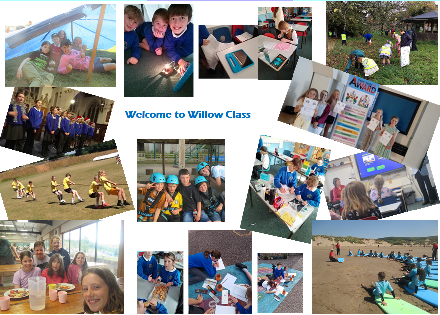 Willow Class 26 Willow Class