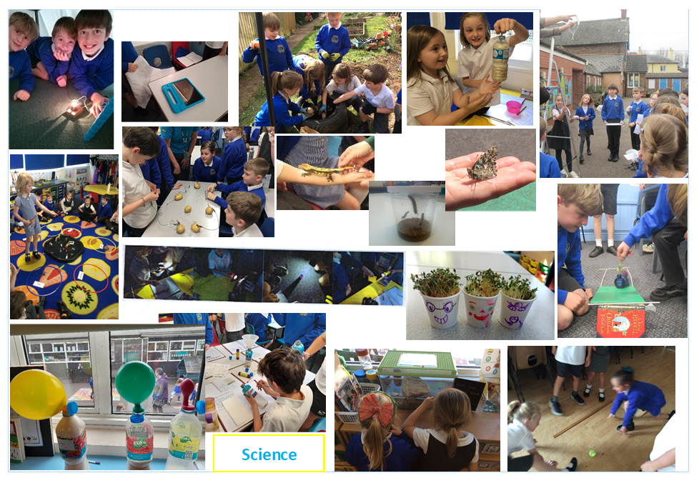 Science Science gallery